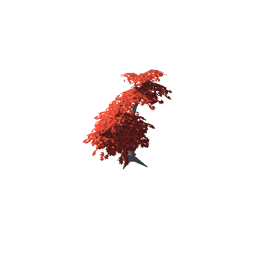 Maple Tree Red Mid 14